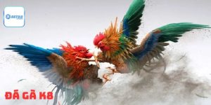 Đá Gà K8 – Hướng Dẫn Cách Tham Gia, Mẹo Chơi Dành Cho Người Mới